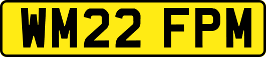 WM22FPM