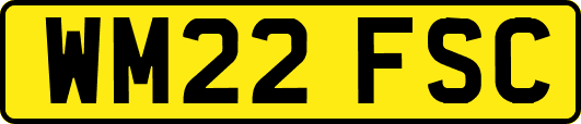 WM22FSC