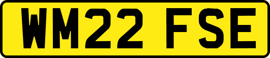 WM22FSE