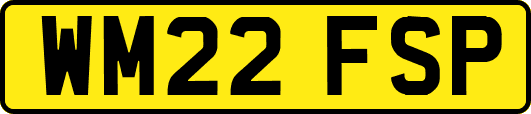WM22FSP