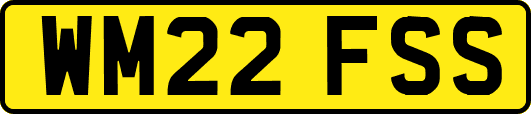WM22FSS