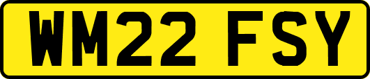 WM22FSY