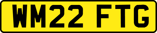 WM22FTG