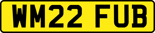 WM22FUB
