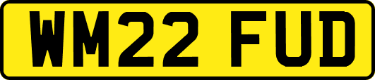 WM22FUD
