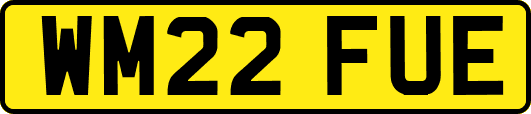 WM22FUE