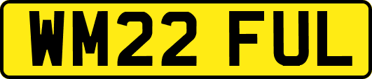 WM22FUL