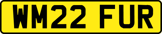 WM22FUR