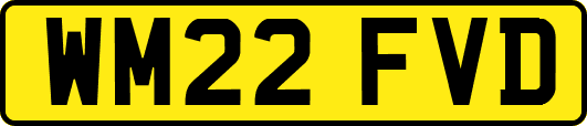 WM22FVD