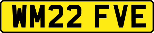 WM22FVE