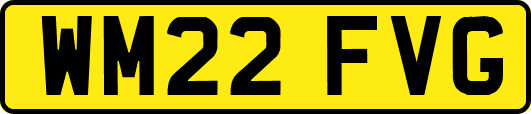 WM22FVG