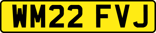 WM22FVJ