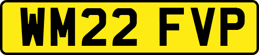 WM22FVP