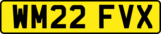 WM22FVX