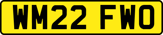 WM22FWO