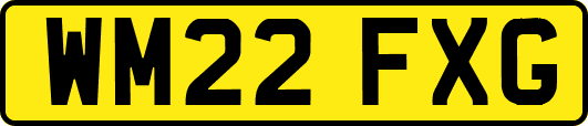 WM22FXG
