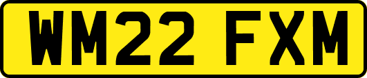 WM22FXM