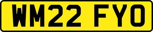 WM22FYO