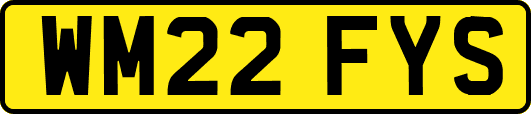 WM22FYS