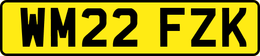 WM22FZK