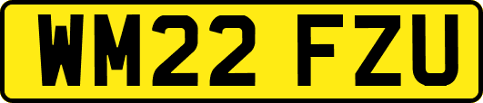 WM22FZU
