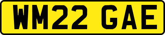 WM22GAE