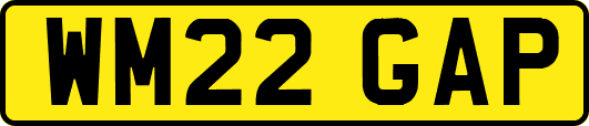 WM22GAP