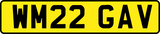 WM22GAV