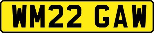 WM22GAW