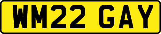 WM22GAY