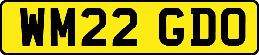 WM22GDO