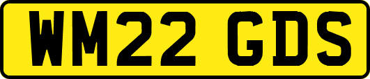 WM22GDS