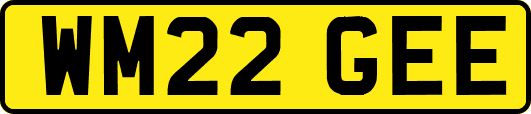 WM22GEE