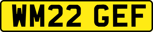 WM22GEF