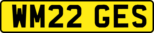WM22GES