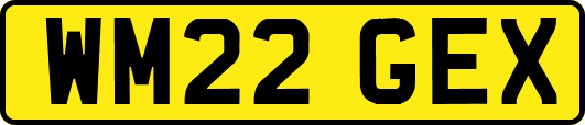 WM22GEX