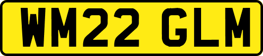 WM22GLM