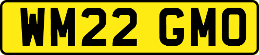 WM22GMO