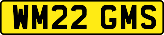 WM22GMS