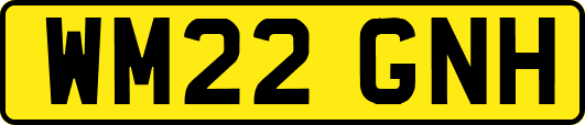 WM22GNH