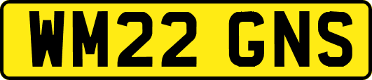 WM22GNS