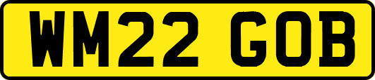 WM22GOB