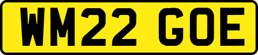 WM22GOE