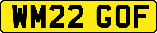 WM22GOF