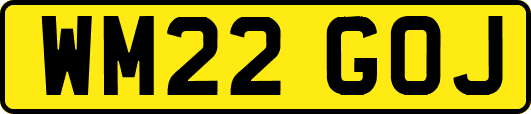 WM22GOJ
