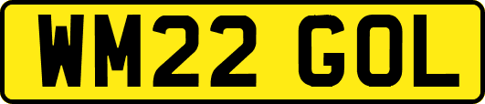 WM22GOL