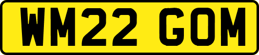WM22GOM