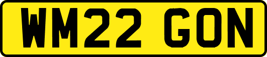 WM22GON