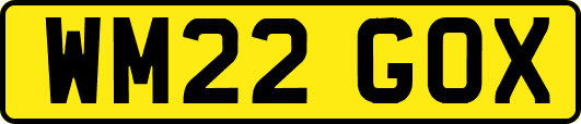 WM22GOX