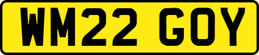 WM22GOY